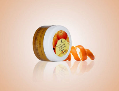 Shahnaz Husain Lip Balm Lip Care & Shine Orange