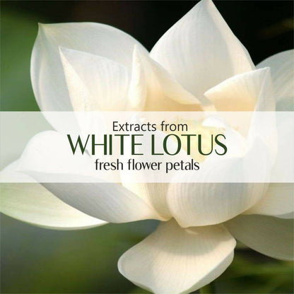 Old Tree White Lotus Essential Oil