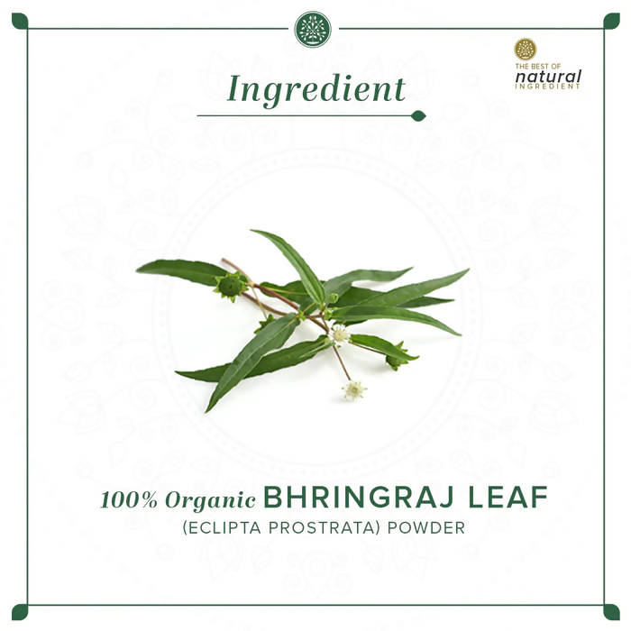 Khadi Natural Bhringraj Leaf Powder