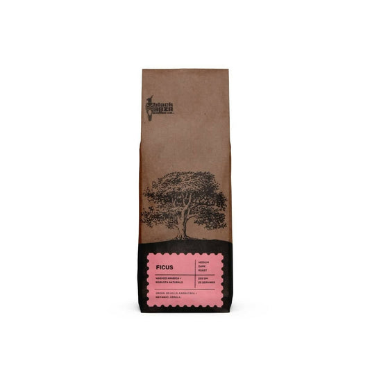 Black Baza Coffee Ficus - 500GM