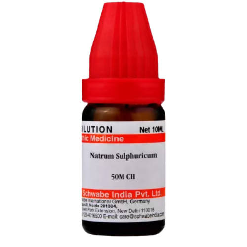 Dr. Willmar Schwabe India Natrum Sulphuricum Dilution - BUDNE