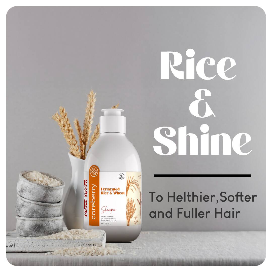 Careberry Rice & Wheat Volumizing Shampoo