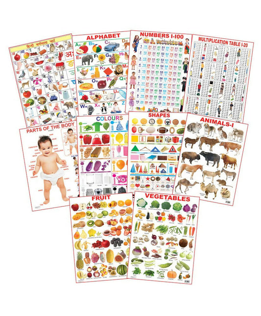 Dreamland Educational Charts - Combo 1 (10 Charts) : Children Early Learning Laminated Chart -  buy in usa 