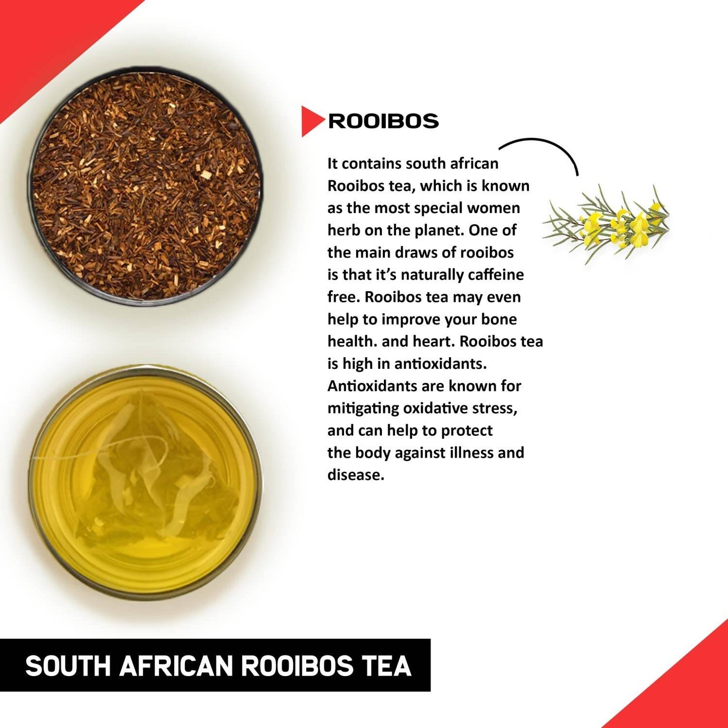 Teacurry South African Rooibos Tea Bags