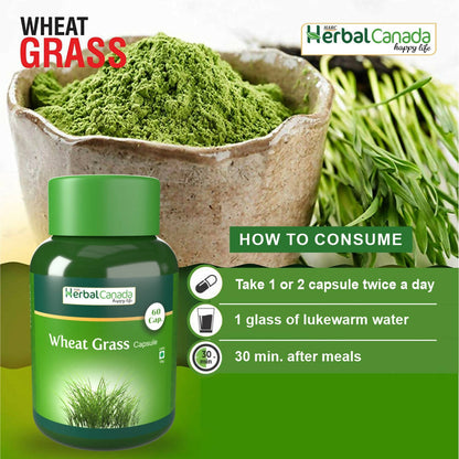 Herbal Canada Wheat Grass Capsules