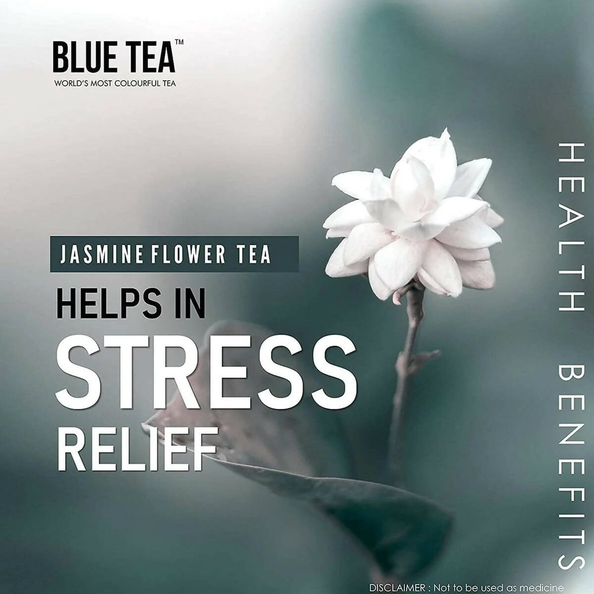 Blue Tea Organic Jasmine Green Tea