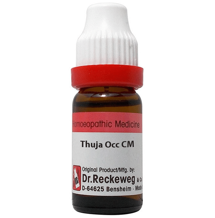 Dr. Reckeweg Thuja Occ Dilution - BUDNE