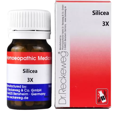 Dr. Reckeweg Silicea Biochemic Tablets - BUDNE