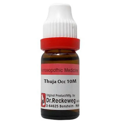 Dr. Reckeweg Thuja Occ Dilution - BUDNE