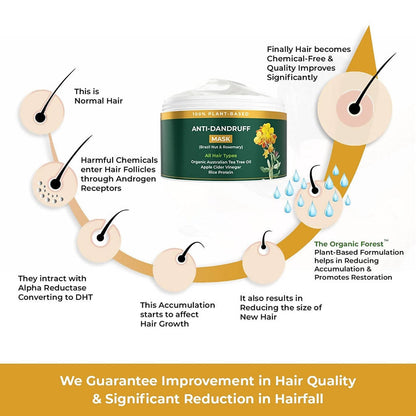 The Organic Forest Anti-Dandruff Hair Mask