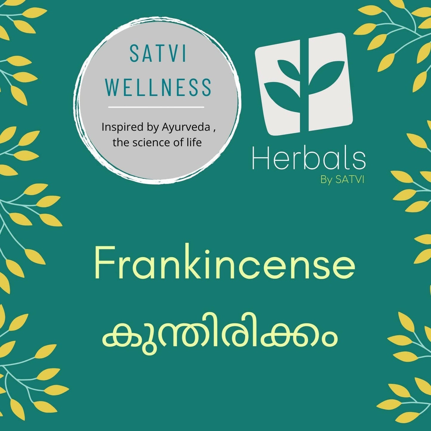 Satvi Wellness Frankincense | Kunthitikkam