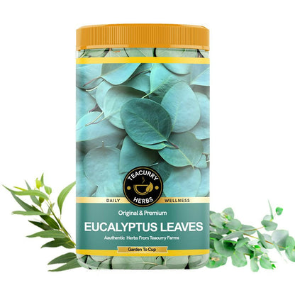 Teacurry Organic Eucalyptus Leaves