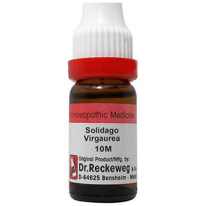 Dr. Reckeweg Solidago Virgaurea Dilution - usa canada australia