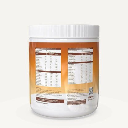 Pro360 Dry Fruits Protein Powder