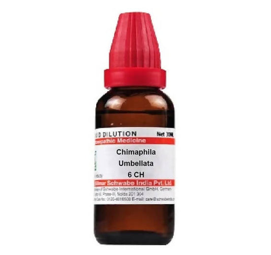 Dr. Willmar Schwabe India Chimaphila Umbellata Dilution 6 ch