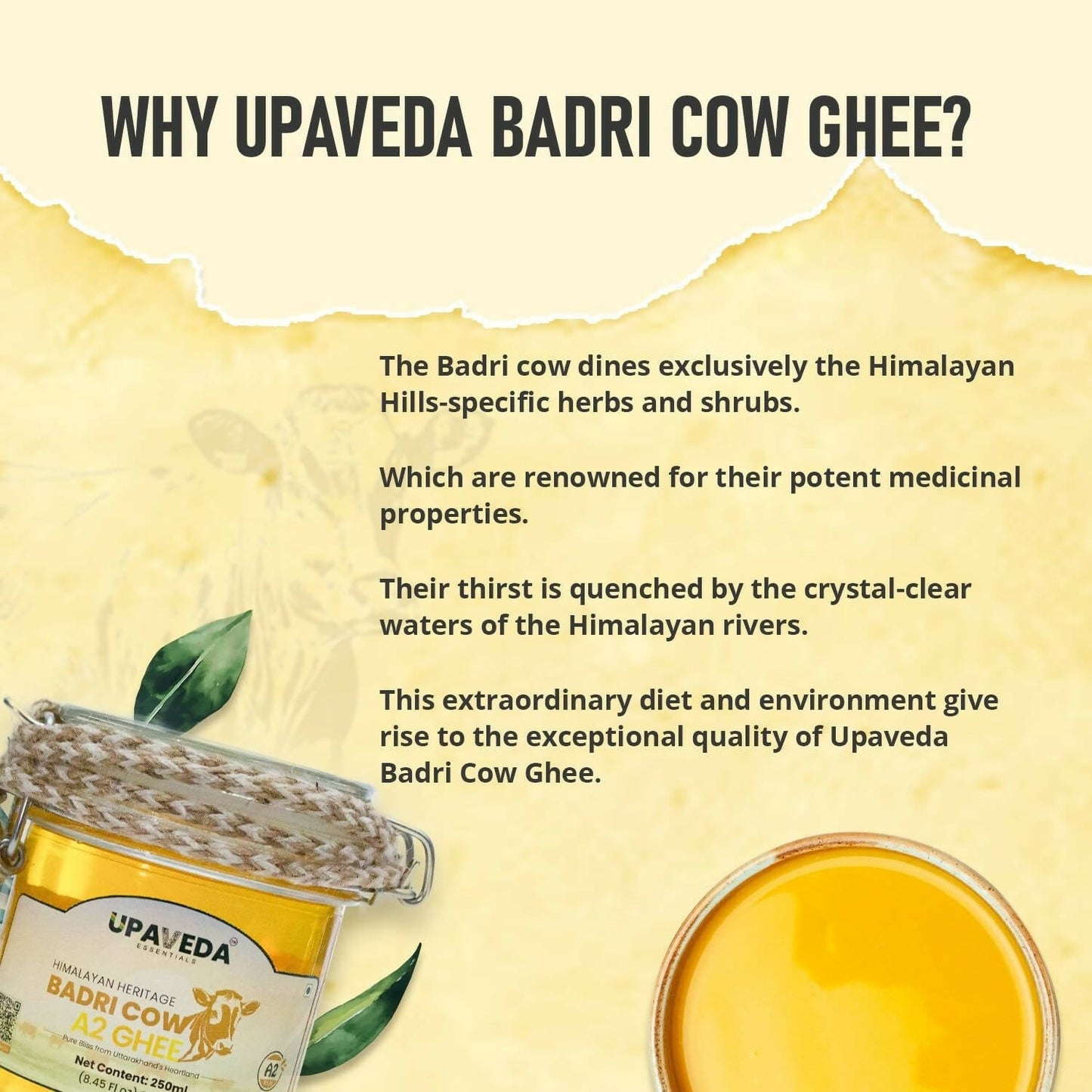 Upaveda Desi Badri Cow Pure A2 Ghee