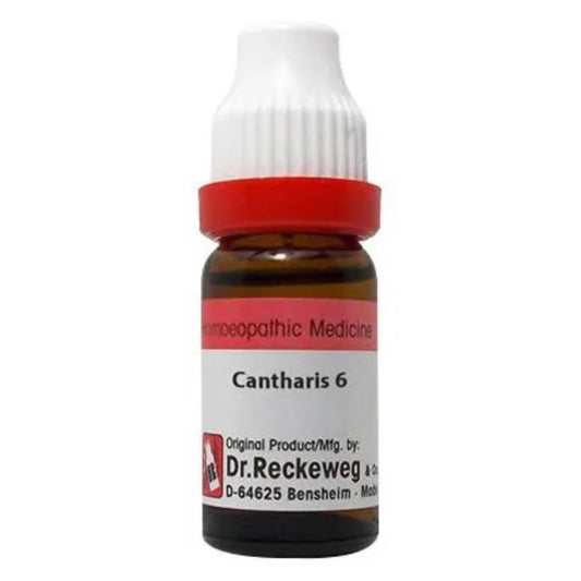 Dr. Reckeweg Cantharis Dilution - BUDNE