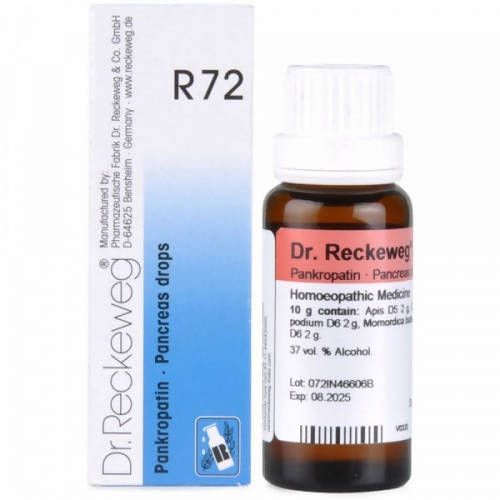 Dr. Reckeweg R72 Pancreas Drops - BUDNE