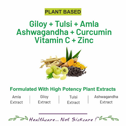 Bliss Welness Giloy Tulsi Amla Ashwagandha Curcumin Tablets