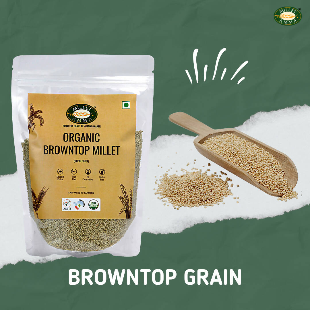 Millet Amma Organic Browntop Millet Grains