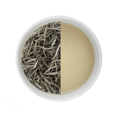 Tea Sense Silver Needle White Tea