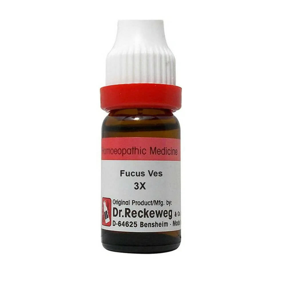 Dr. Reckeweg Fucus Ves Dilution - usa canada australia