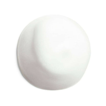 Shiseido Complete Cleansing Microfoam - For All Skin Types