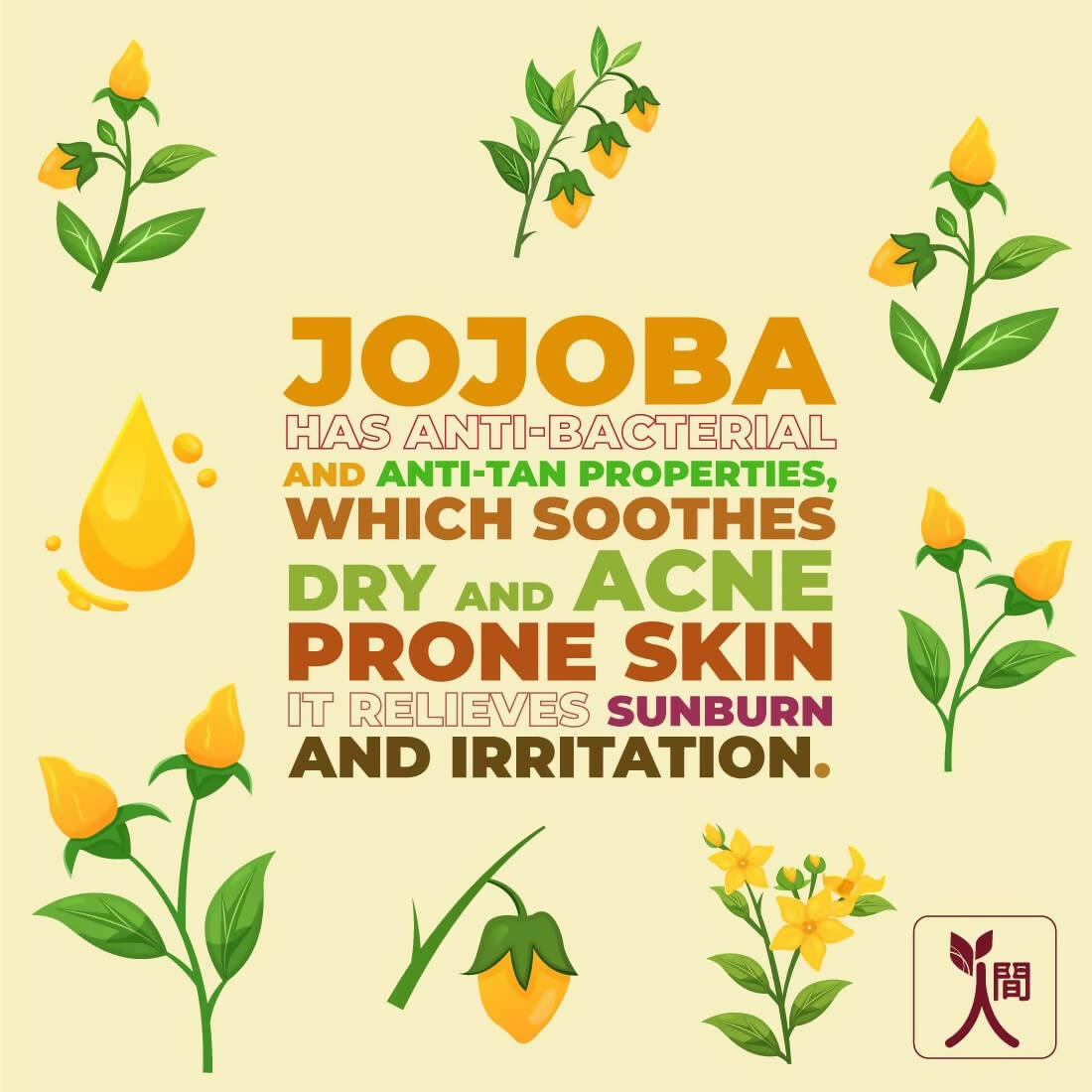 Ningen Jojoba Face Wash