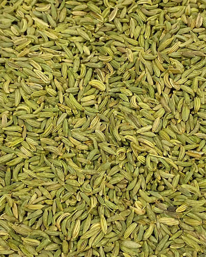 Kalagura Gampa Somph/Fennel Seeds