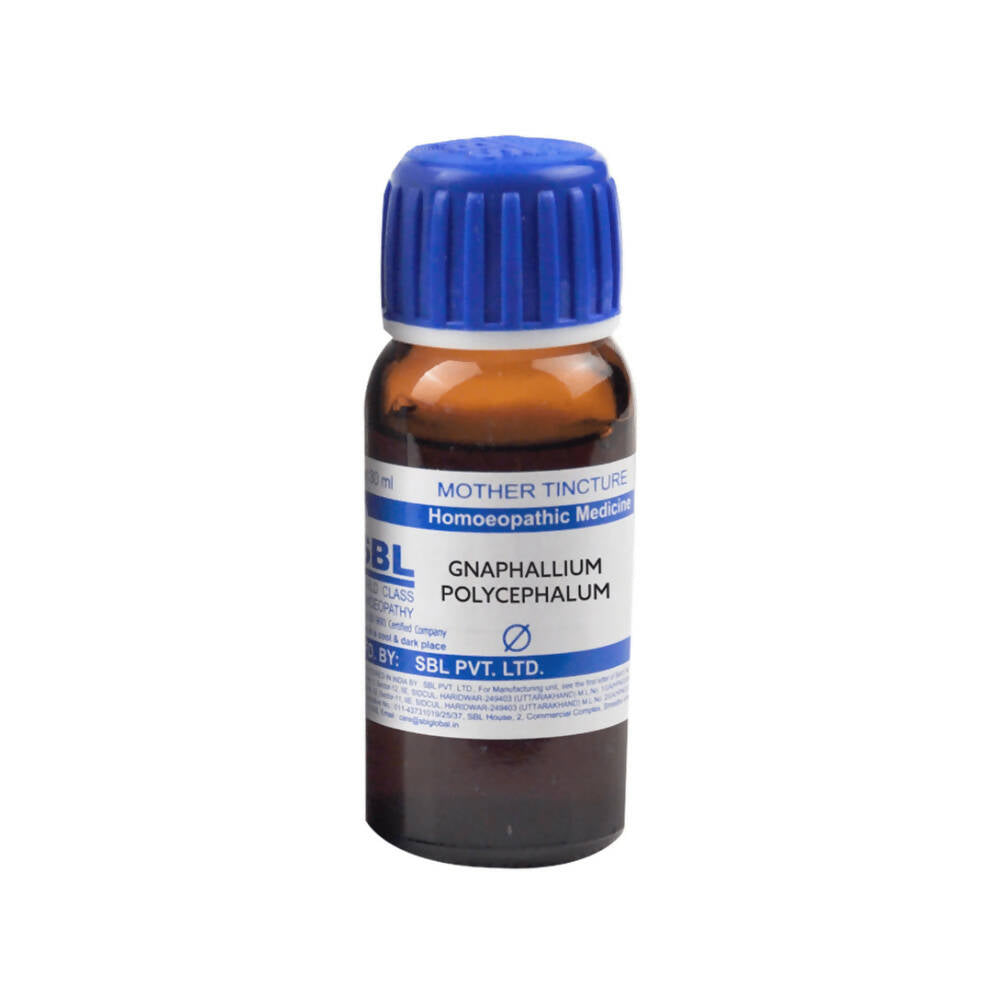 SBL Homeopathy Gnaphalium Polycephalum Mother Tincture Q