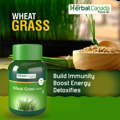 Herbal Canada Wheat Grass Capsules