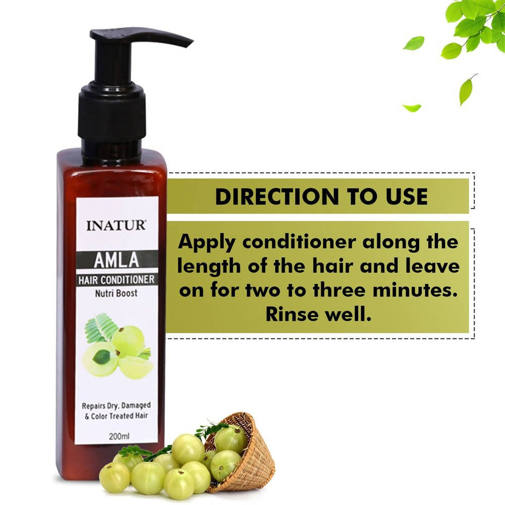 Inatur Amla Hair Conditioner