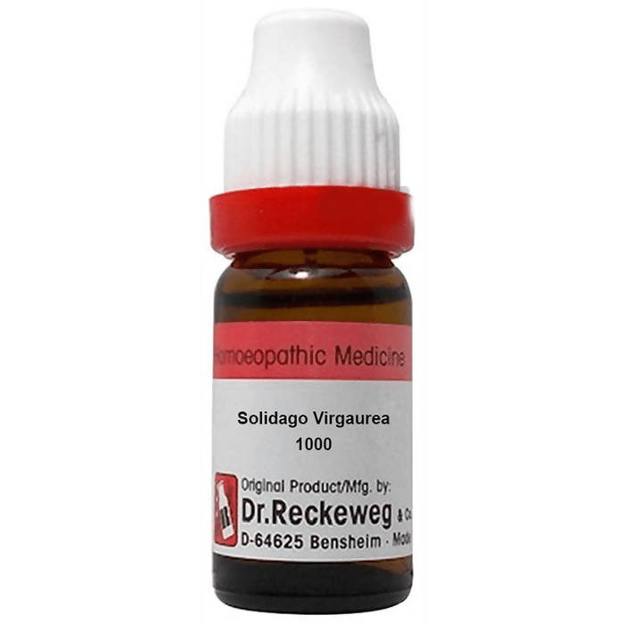 Dr. Reckeweg Solidago Virgaurea Dilution - usa canada australia