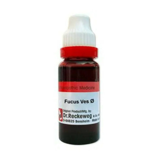 Dr. Reckeweg Fucus Vesic Mother Tincture Q -  usa australia canada 