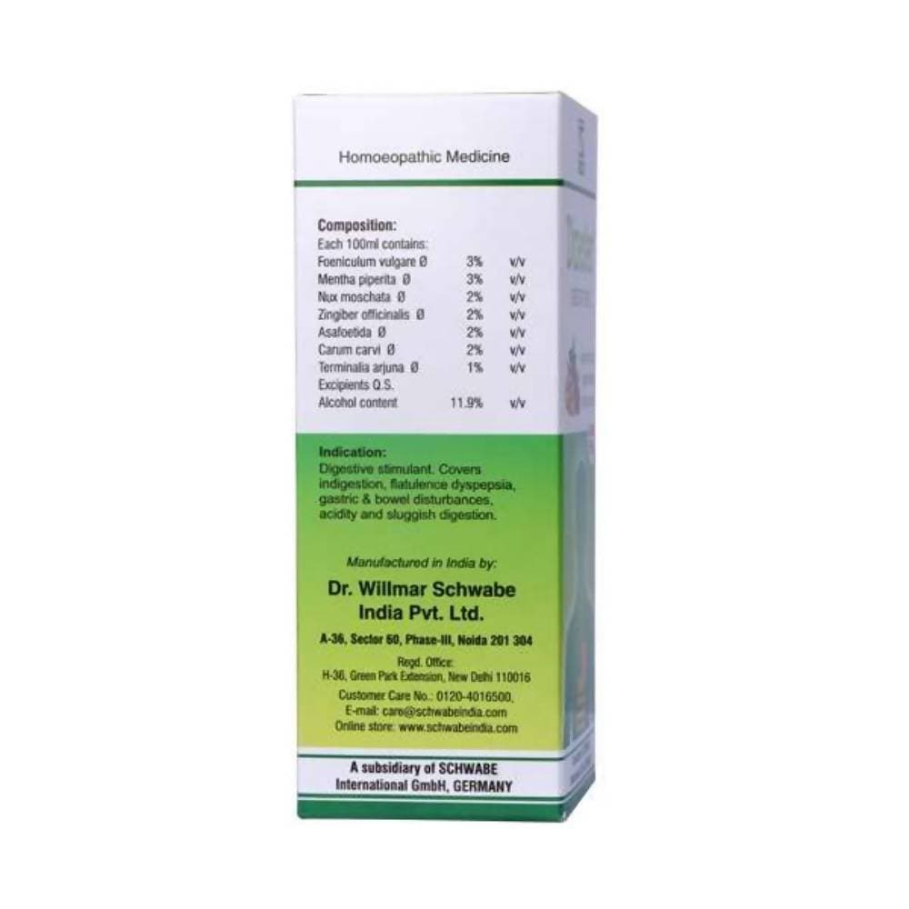 Dr. Willmar Schwabe India Dizester Digestive Tonic