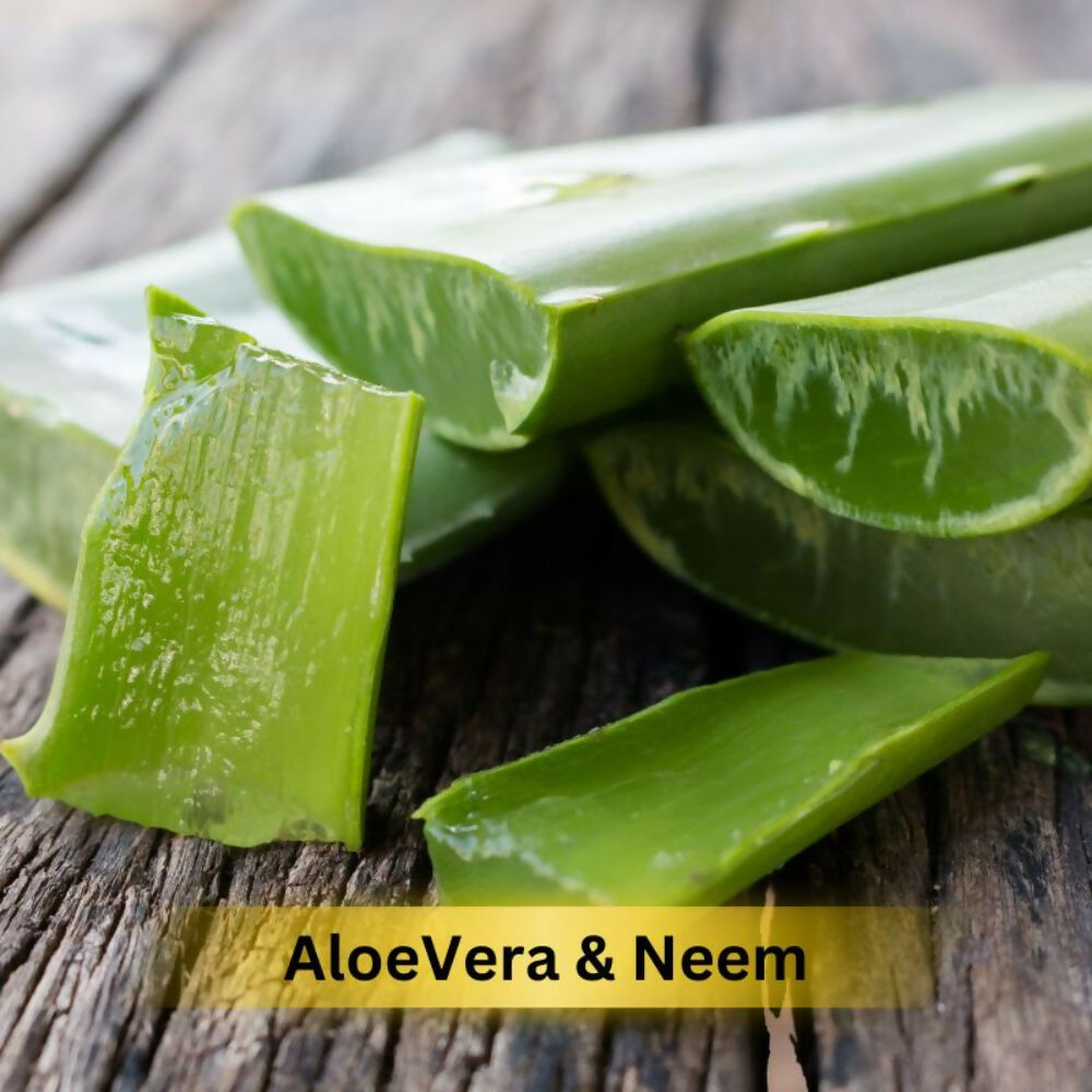 Prakriti Herbal Soap Aloevera and Neem