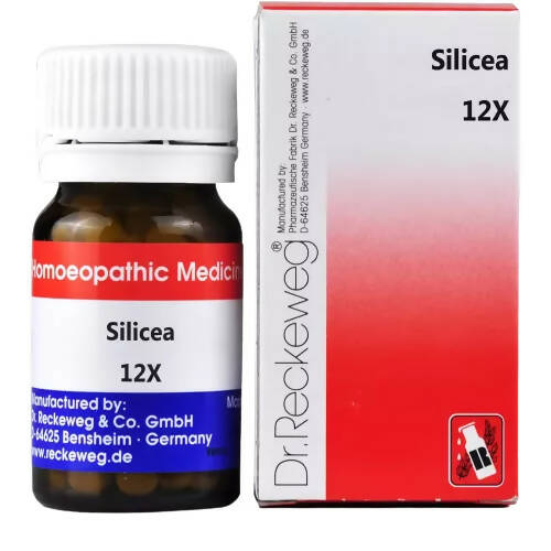 Dr. Reckeweg Silicea Biochemic Tablets - BUDNE