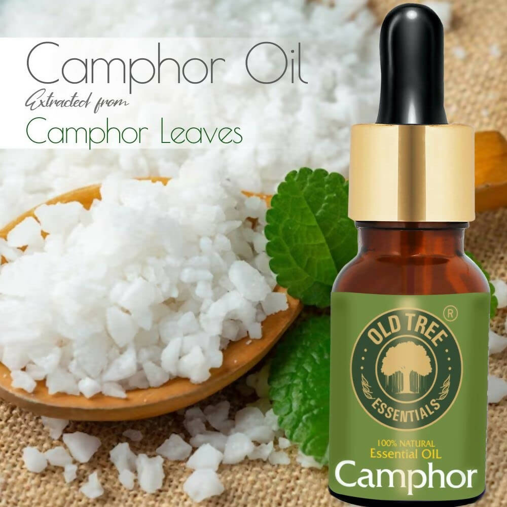 Old Tree Camphor Essential Oil