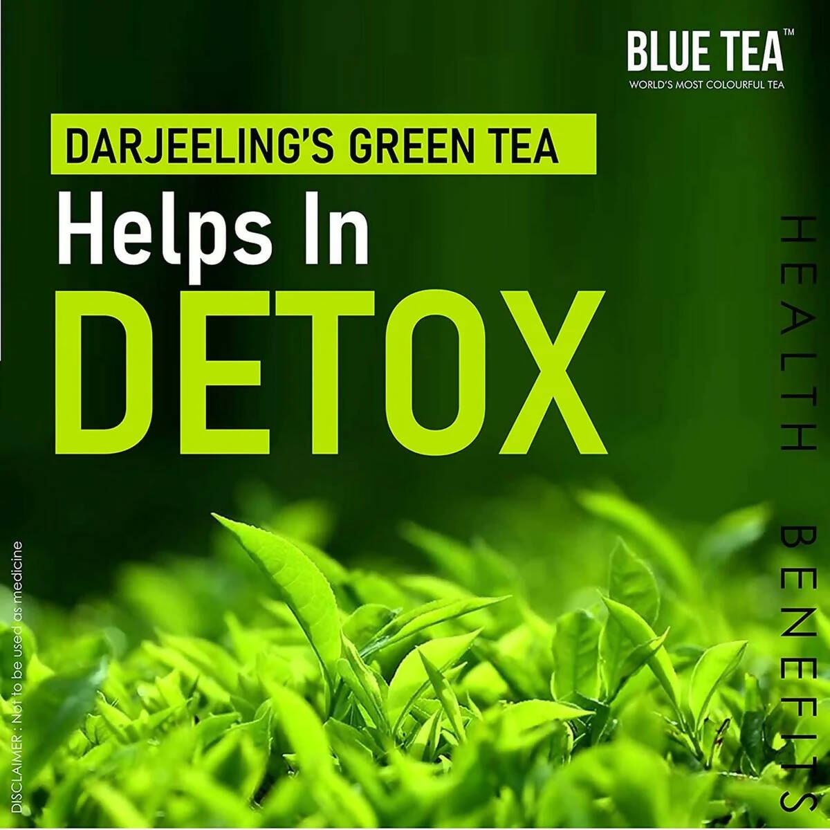 Blue Tea Organic Dandelion Green Tea Bags