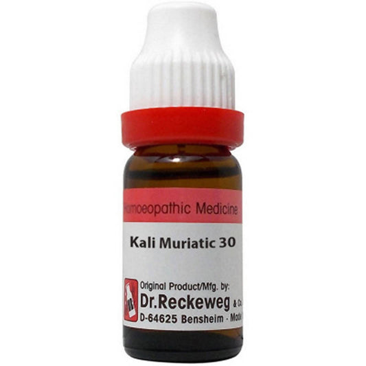 Dr. Reckeweg Kali Muriaticum Dilution - BUDNE