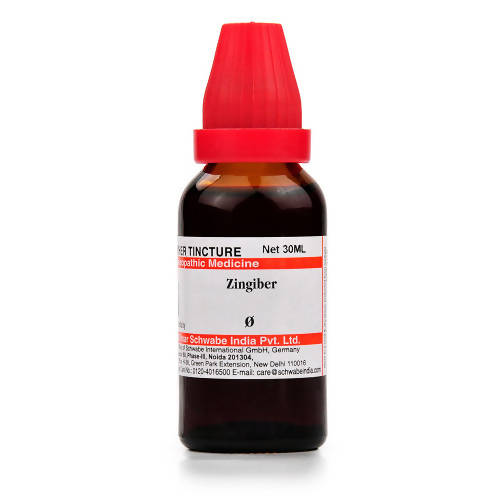 Dr. Willmar Schwabe India Zingiber Mother Tincture Q