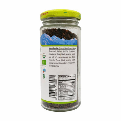 Just Organik Black Sesame Seeds (Kala Til)