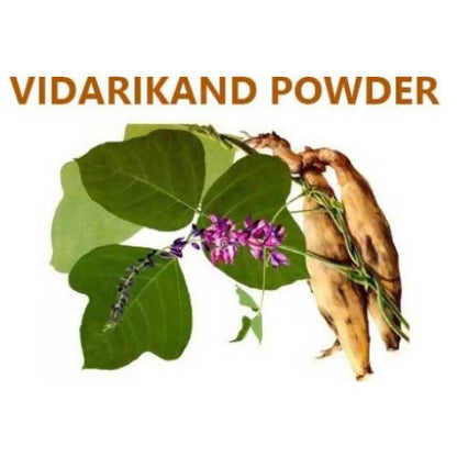 Himalaya Vidarikand Powder