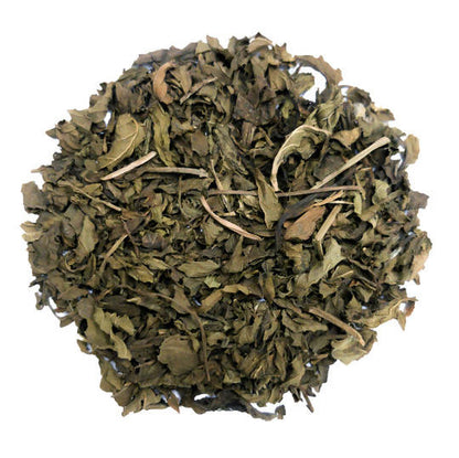 TGL Co. Miracle Mint Herbal Tea