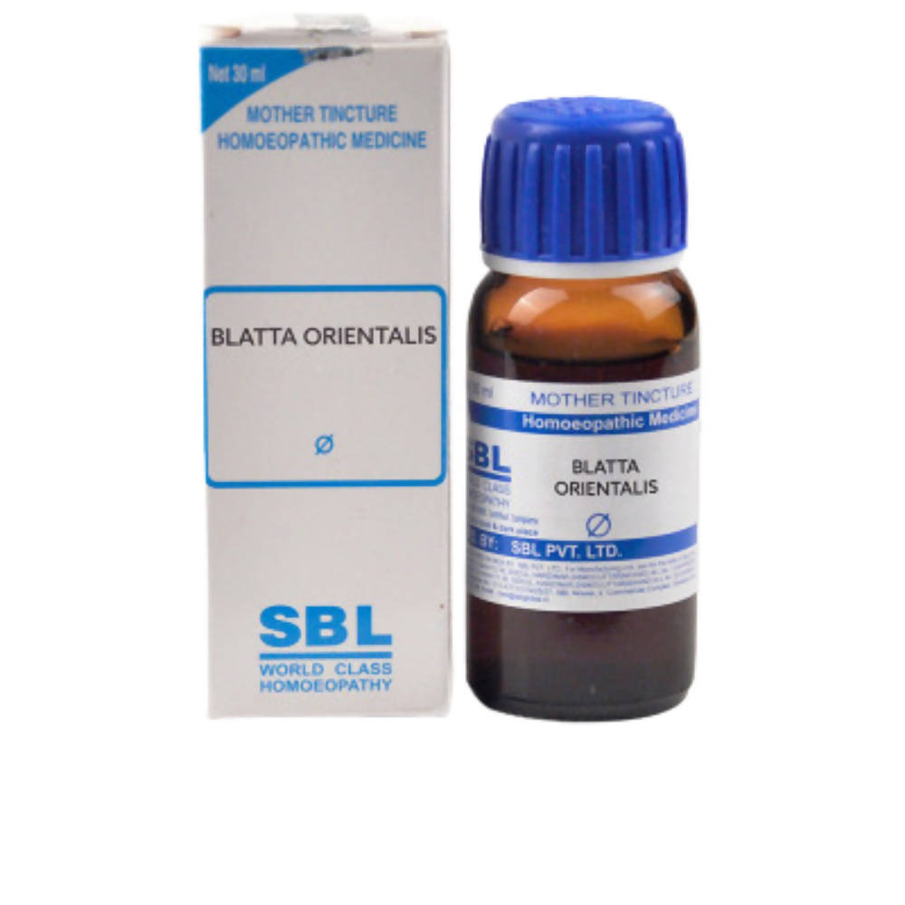 SBL Homeopathy Blatta Orientalis Mother Tincture Q - BUDEN