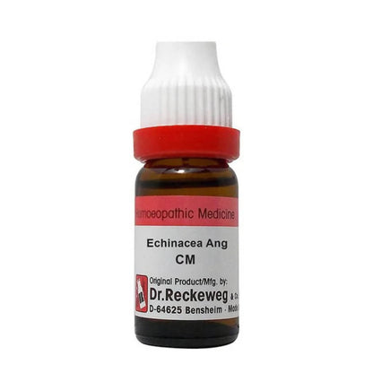 Dr. Reckeweg Echinacea Ang Dilution -  usa australia canada 