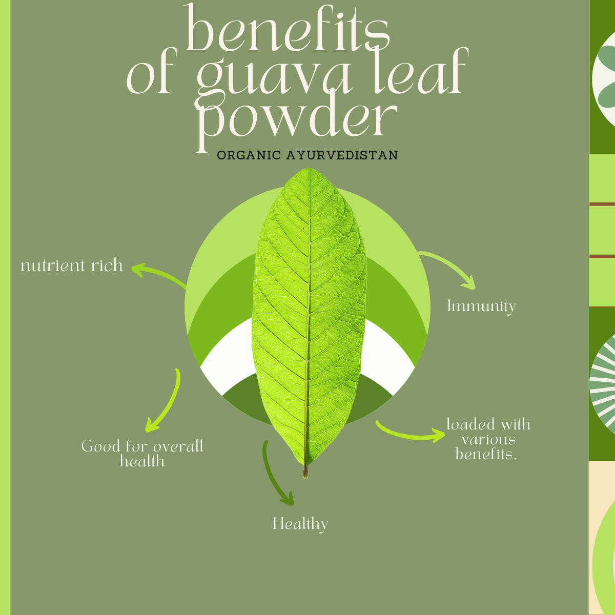 Organic AyurveBUDNEn Guava Leaves Powder