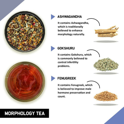 Teacurry Morphology Tea For Men