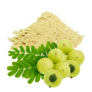 Hebsur Herbals Amla Powder - Distacart