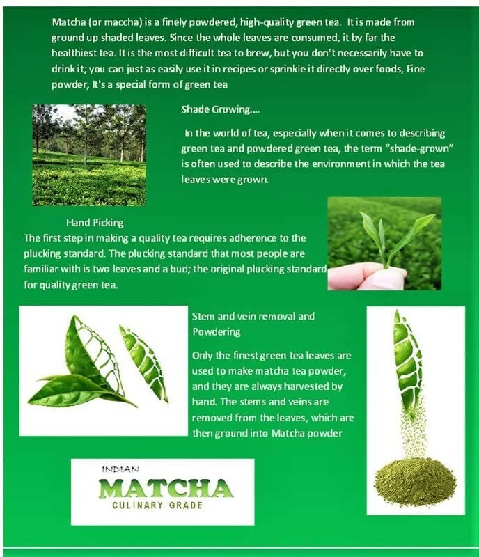 Dophie Matcha Green Tea Powder Culinary Grade